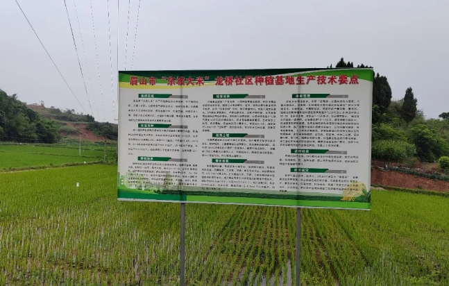 定制化肥料解決方案，助力東坡大米產(chǎn)業(yè)健康發(fā)展